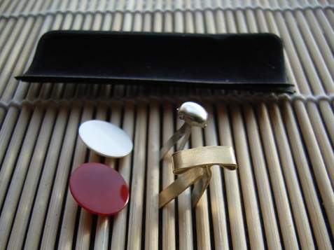 Wenger Executive Golf Pro. Pictures by Gim.