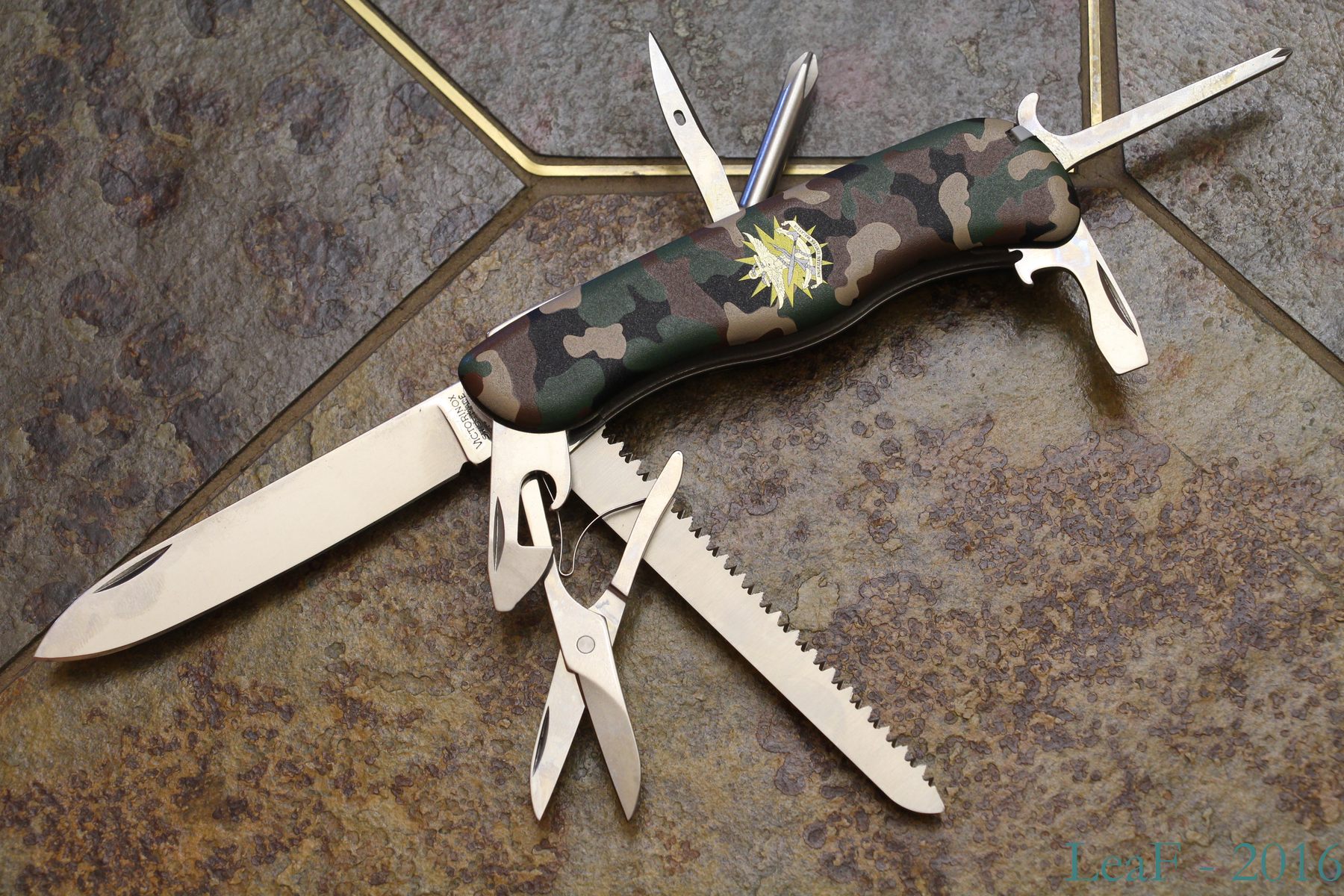 Malaysian Outrider (ATM)