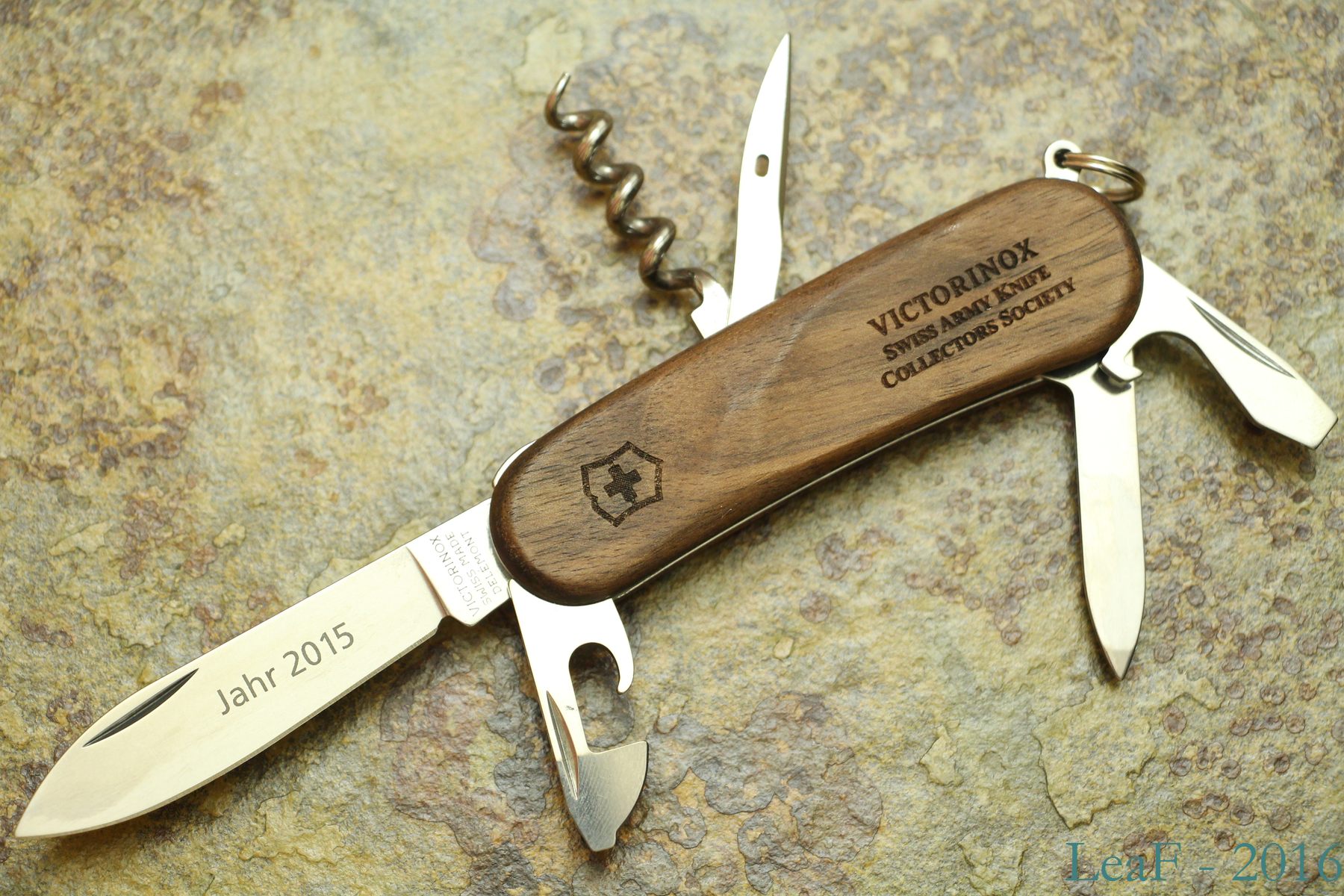 VSAKCS 2015 - Evolution Wood 10
Front