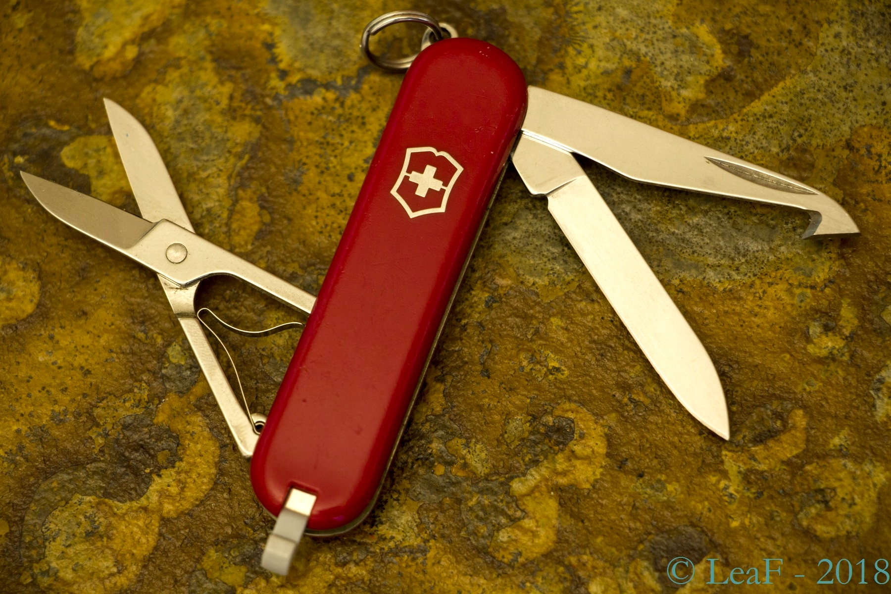 Victorinox Pharmacist